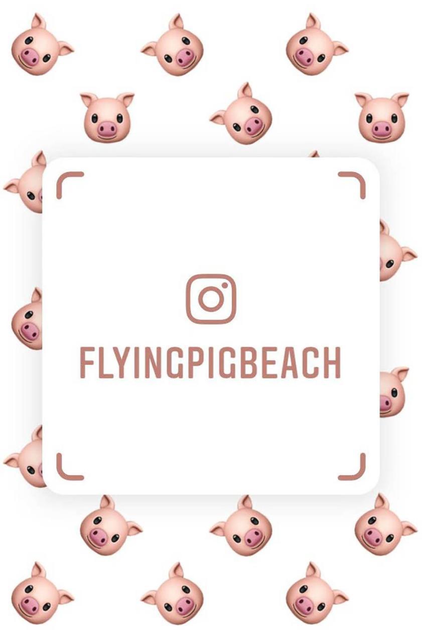The Flying Pig Beach Hostel Noordwijk Esterno foto